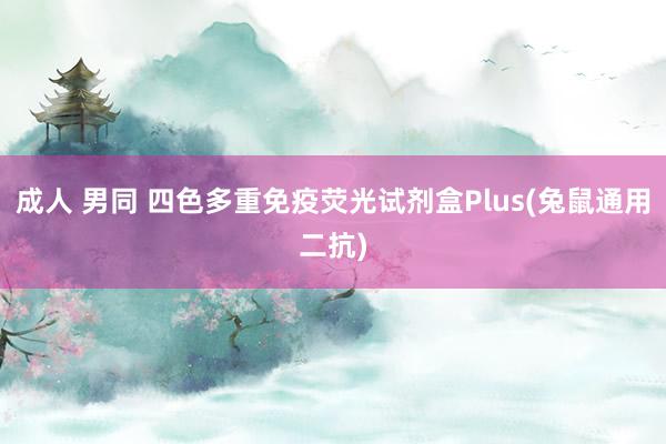 成人 男同 四色多重免疫荧光试剂盒Plus(兔鼠通用二抗)