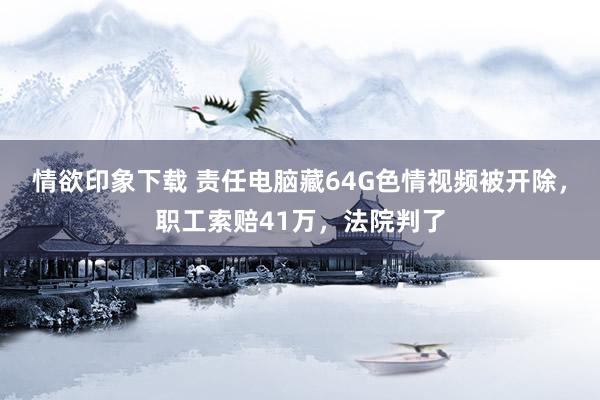 情欲印象下载 责任电脑藏64G色情视频被开除，职工索赔41万，法院判了