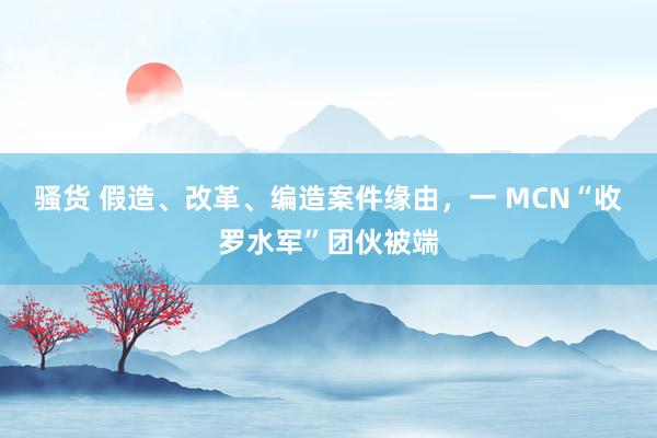 骚货 假造、改革、编造案件缘由，一 MCN“收罗水军”团伙被端