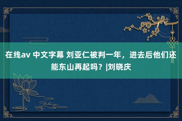 在线av 中文字幕 刘亚仁被判一年，进去后他们还能东山再起吗？|刘晓庆