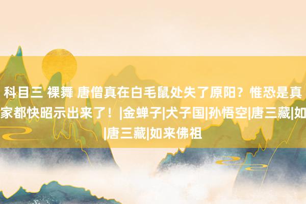 科目三 裸舞 唐僧真在白毛鼠处失了原阳？惟恐是真实，作家都快昭示出来了！|金蝉子|犬子国|孙悟空|唐三藏|如来佛祖