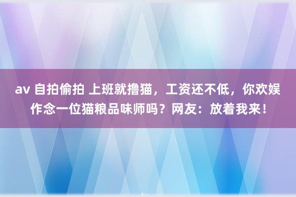 av 自拍偷拍 上班就撸猫，工资还不低，你欢娱作念一位猫粮品味师吗？网友：放着我来！