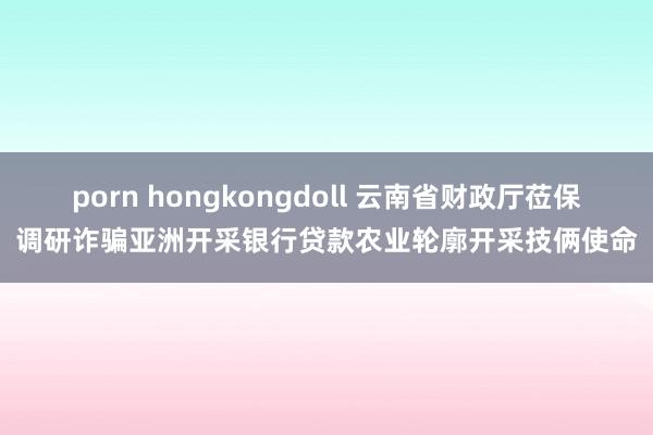 porn hongkongdoll 云南省财政厅莅保调研诈骗亚洲开采银行贷款农业轮廓开采技俩使命