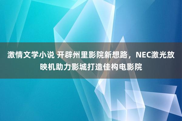 激情文学小说 开辟州里影院新想路，NEC激光放映机助力影城打造佳构电影院