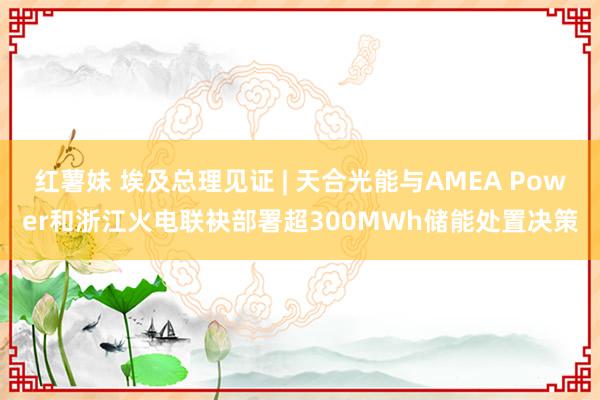 红薯妹 埃及总理见证 | 天合光能与AMEA Power和浙江火电联袂部署超300MWh储能处置决策