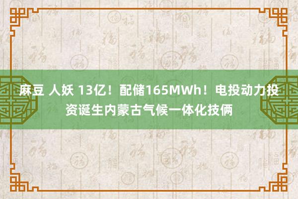 麻豆 人妖 13亿！配储165MWh！电投动力投资诞生内蒙古气候一体化技俩